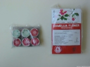 camellia_flower_1