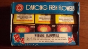 Dancing_fresh_flowers